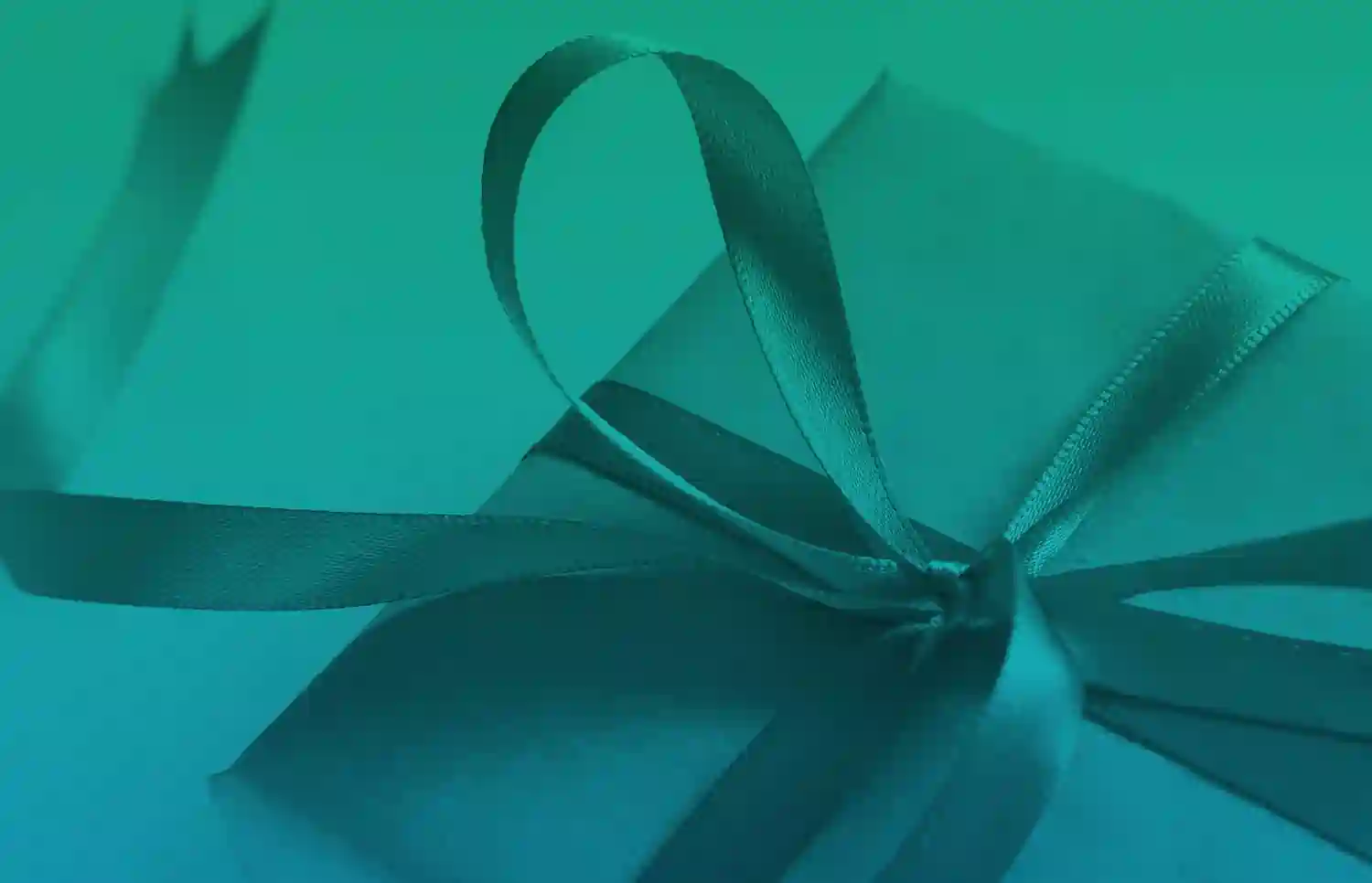 December Gift: No lease admin fee and$6 application fees